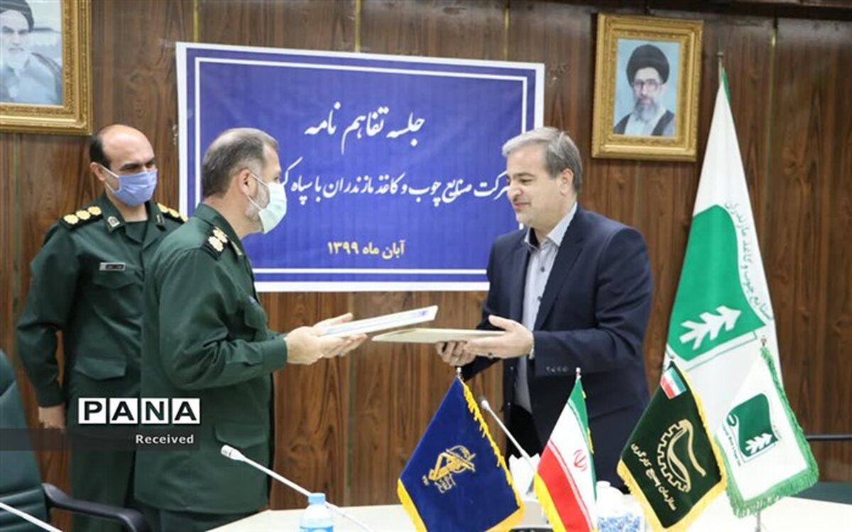 یک میلیون نهال در پروژه زراعت چوب مازندران کاشته می‌شود
