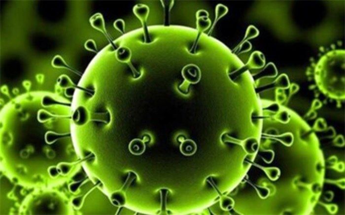 ۲۳۲ بیمار در بخش‌های کرونایی استان بوشهر بستری هستند