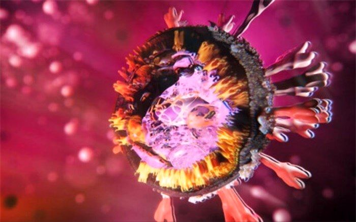 افزایش آمار بستری بیماران کرونا در اندیمشک