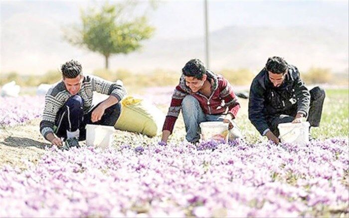 جذب توریست با کلید «فائو»