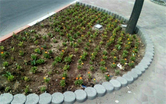 کاشت گل و گیاه‌فصلی در شهرستان‌بهارستان