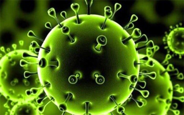 210 بیمار در بخش‌های کرونایی استان بوشهر بستری هستند