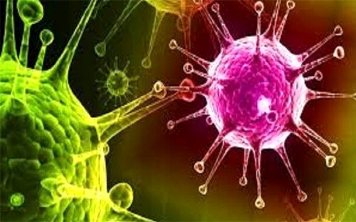 84 بیمار جدید کرونایی در البرز بستری شدند