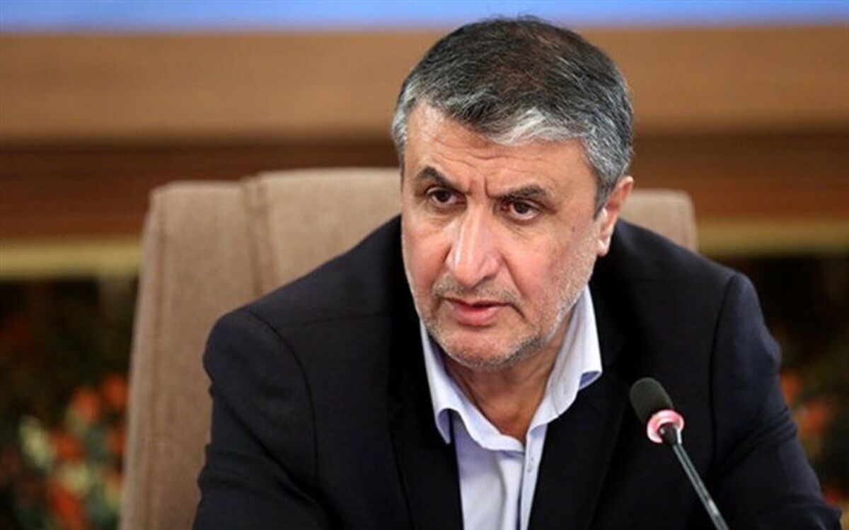 با اقدامات موثر وزارت صمت شاهد متعادل شدن بازار خواهیم بود