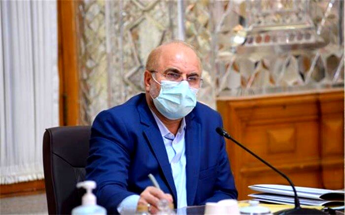 تعامل مجلس با دولت برای تعیین منابع طرح تأمین کالاهای اساسی
