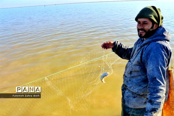 تلاش صیادان سیستانی برای کسب روزی از تالاب بین المللی هامون