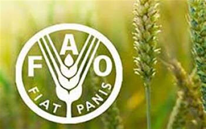 مقاومت میکروبی امنیت غذایی و معیشت میلیون‌ها خانوار کشاورز را تهدید می‌کند