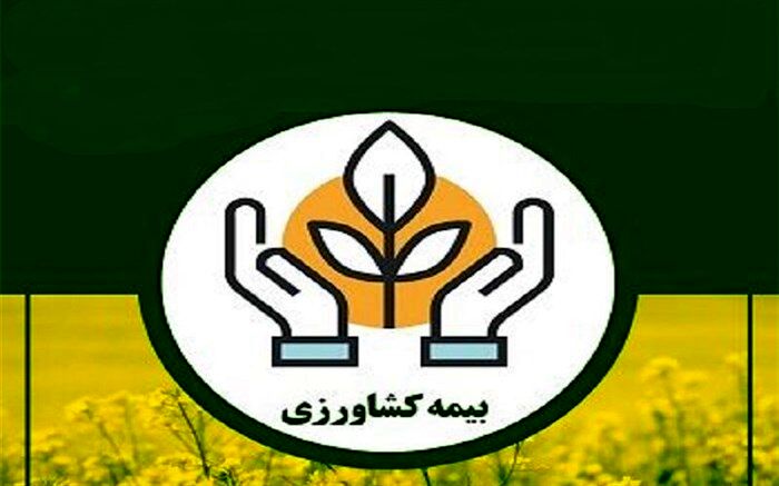 پرداخت خسارت  ۱۳ هزار میلیارد ریالی صندوق بیمه کشاورزی