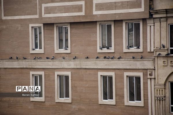 آن سوی قرنطینه-۲