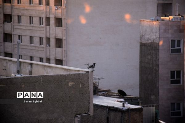 آن سوی قرنطینه-۲