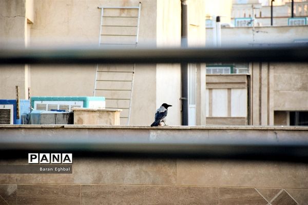 آن سوی قرنطینه-۲