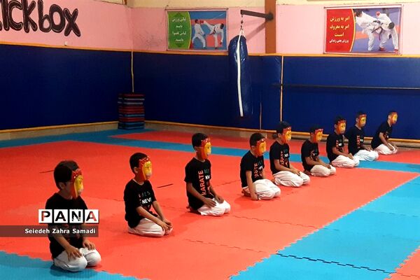 برگزاری دوره آموزشی تکنیکی کاراته در خانه کاراته ملارد