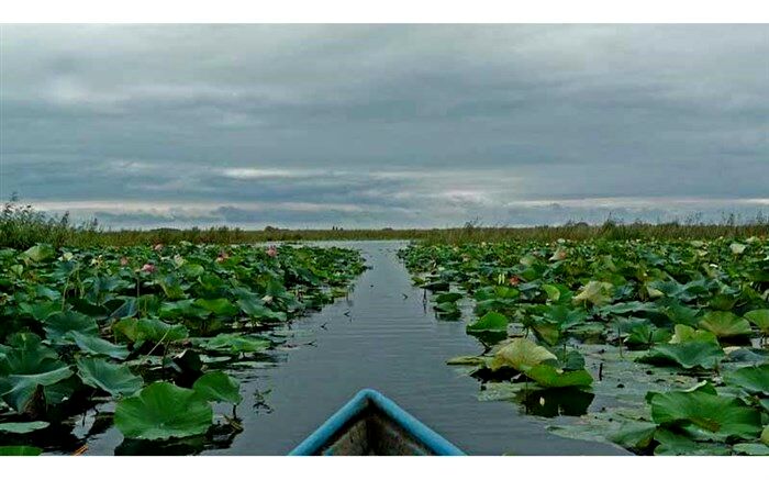 ۲ هزار و ۵۵۸ میلیارد تومان اعتبار برای احیای تالاب انزلی در گیلان