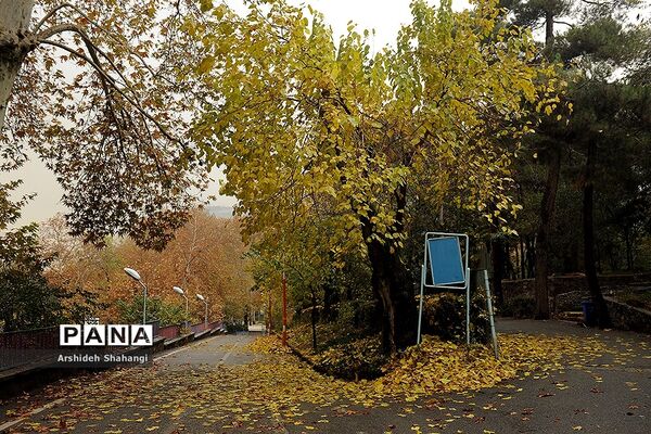 پاییز باهنر
