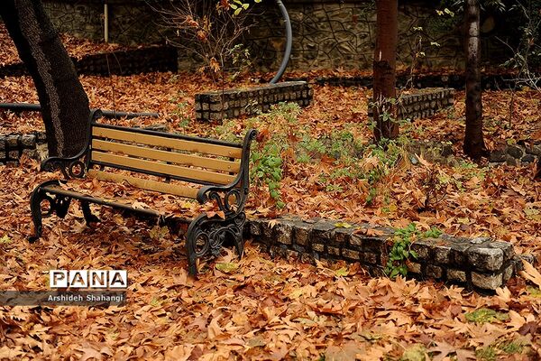 پاییز باهنر