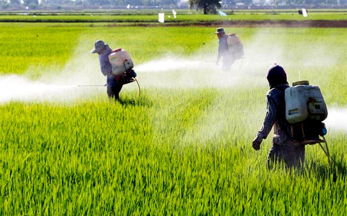 تخصیص اعتبار۱۵۰ میلیون دلاری  برای واردات آفت‌کش‌ها