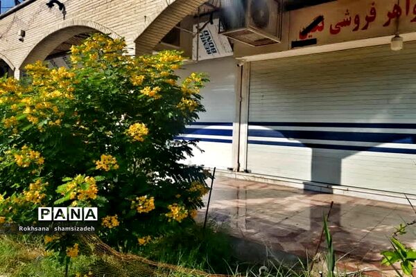 طرح اجرای محدودیت های کرونایی در شهرستان امیدیه