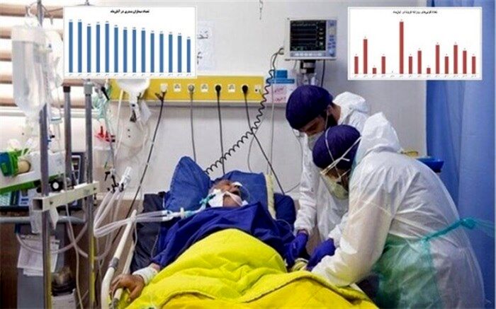بستری ۳۰ درصد بیماران کرونایی در بیمارستانهای تامین اجتماعی