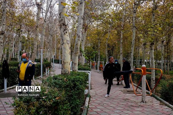 ورزش در پارک زیر سایه کرونا