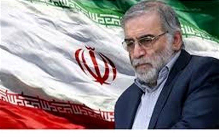 پیام تسلیت معاون استاندار بوشهر در پی شهادت دانشمند هسته ای کشور شهید محسن فخری زاده