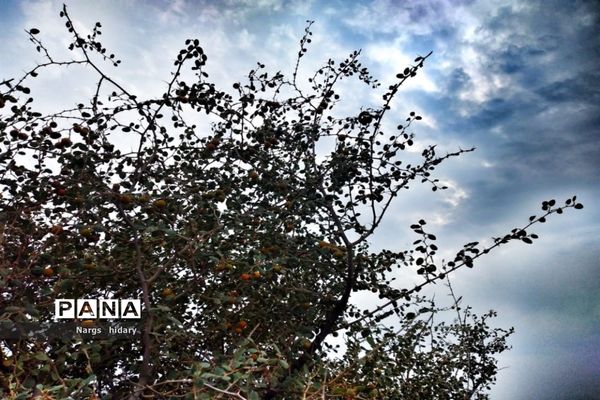 سفر یک‌روزه به روستاهای اطراف امیدیه