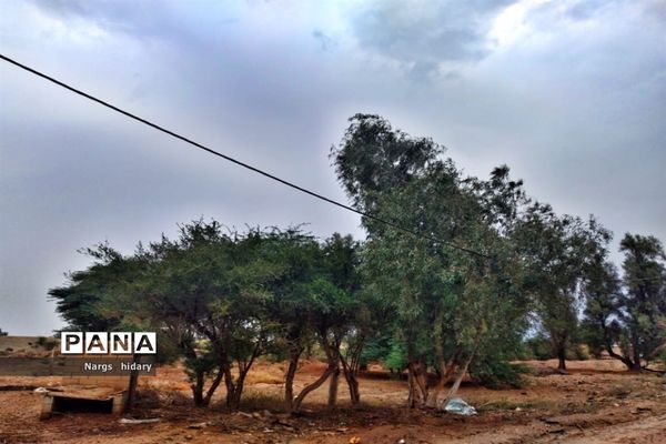 سفر یک‌روزه به روستاهای اطراف امیدیه