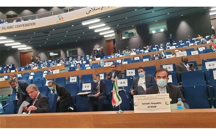 مدیرکل صلح وزارت خارجه : هرگونه تعامل با رژیم صهیونیستی خیانت است