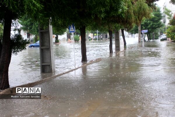 بارش شدید باران در بوشهر