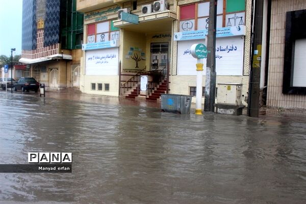 بارش شدید باران در بوشهر