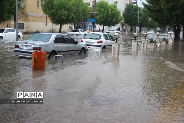بارش شدید باران در بوشهر