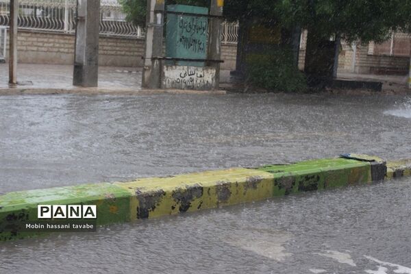 بارش شدید باران در بوشهر