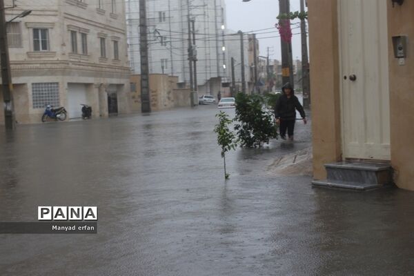 بارش شدید باران در بوشهر