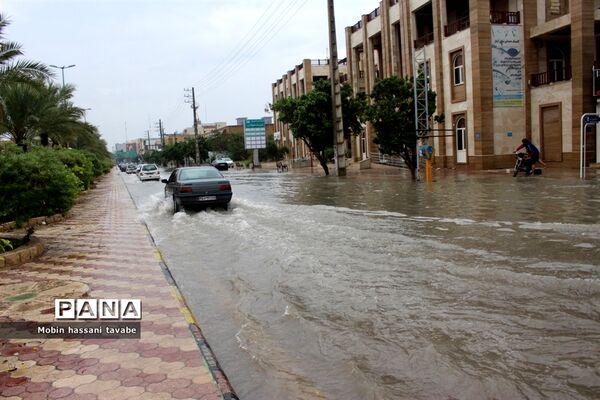 بارش شدید باران در بوشهر