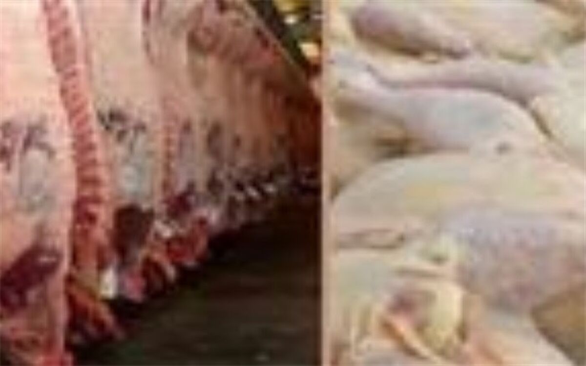 اثرگذاری کاهش قیمت مرغ بر بازار گوشت قرمز