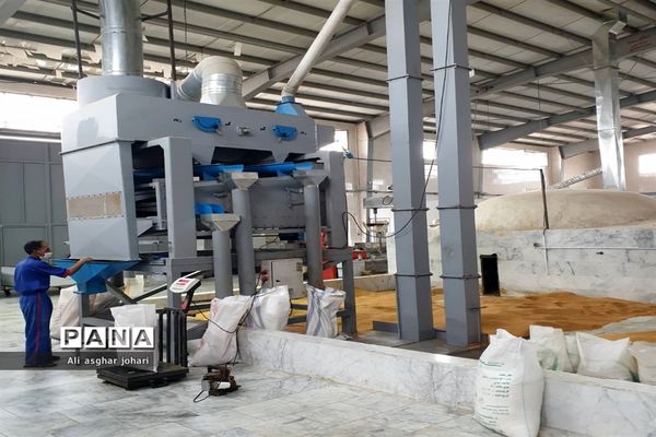 راه‌اندازی اولین کارخانه تولید ارده استان فارس در شهرستان نی ریز