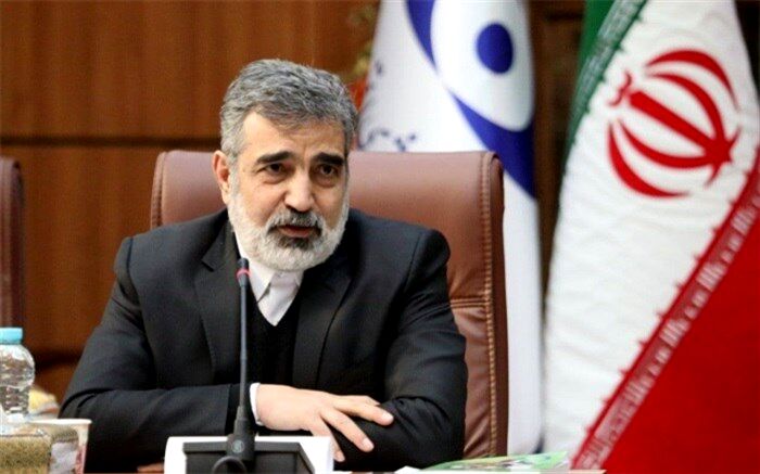 کمالوندی: نظر دولت مخالفت با توقف اجرای پروتکل الحاقی است