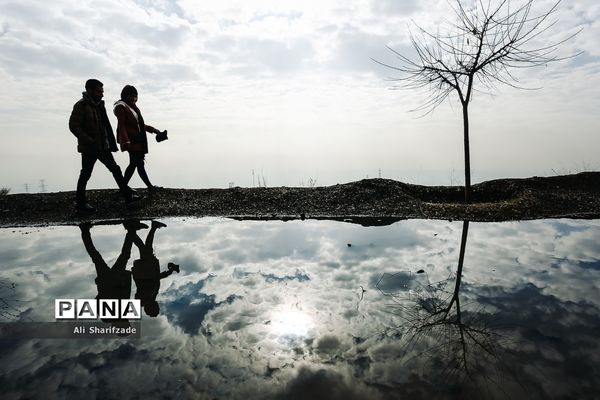 آلودگی هوای تهران