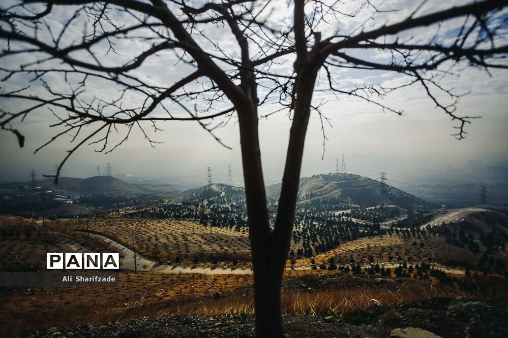 آلودگی هوای تهران