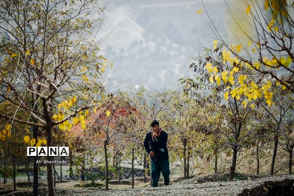 آلودگی هوای تهران