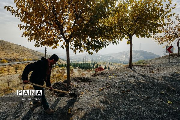 آلودگی هوای تهران