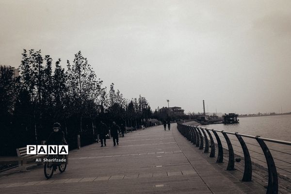 تهران آخرین روزهای پاییز