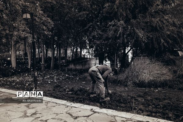 تهران آخرین روزهای پاییز
