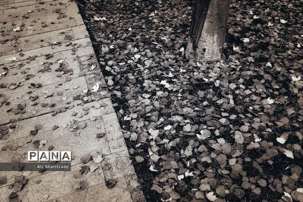 تهران آخرین روزهای پاییز