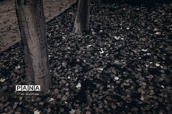 تهران آخرین روزهای پاییز