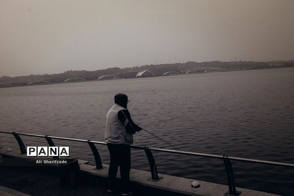 تهران آخرین روزهای پاییز