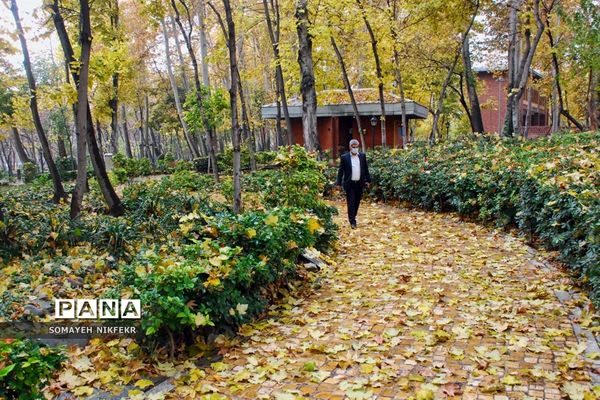 پاییز رنگارنگ درسکوت شهر