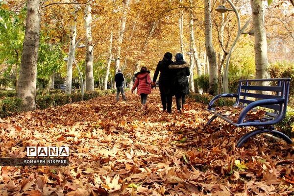 پاییز رنگارنگ درسکوت شهر