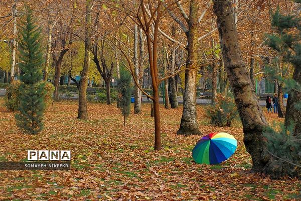 پاییز رنگارنگ درسکوت شهر