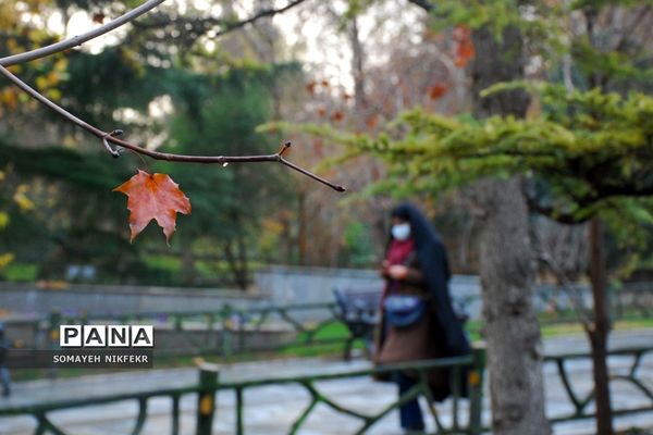 پاییز رنگارنگ درسکوت شهر