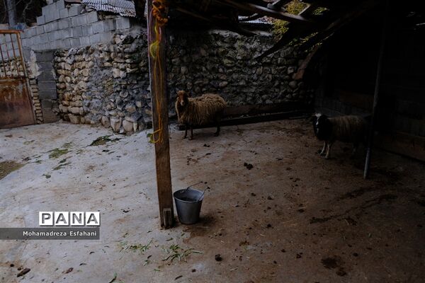 یک روز پاییزی در روستای مَجی